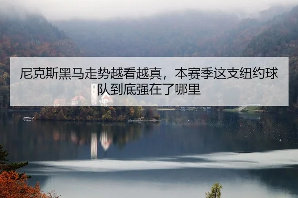 尼克斯黑马走势越看越真，本赛季这支纽约球队到底强在了哪里